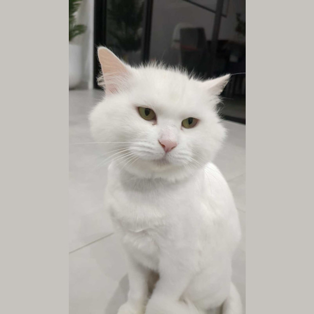 Photo of Princess