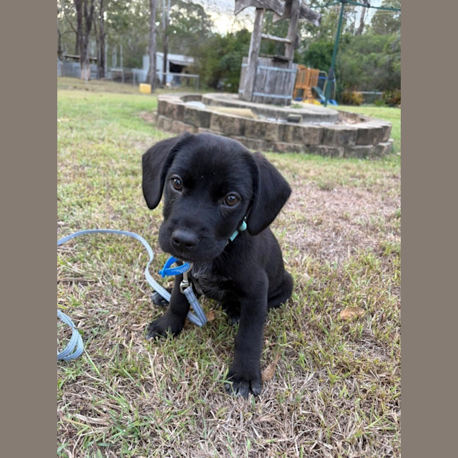 Photo of Tank
