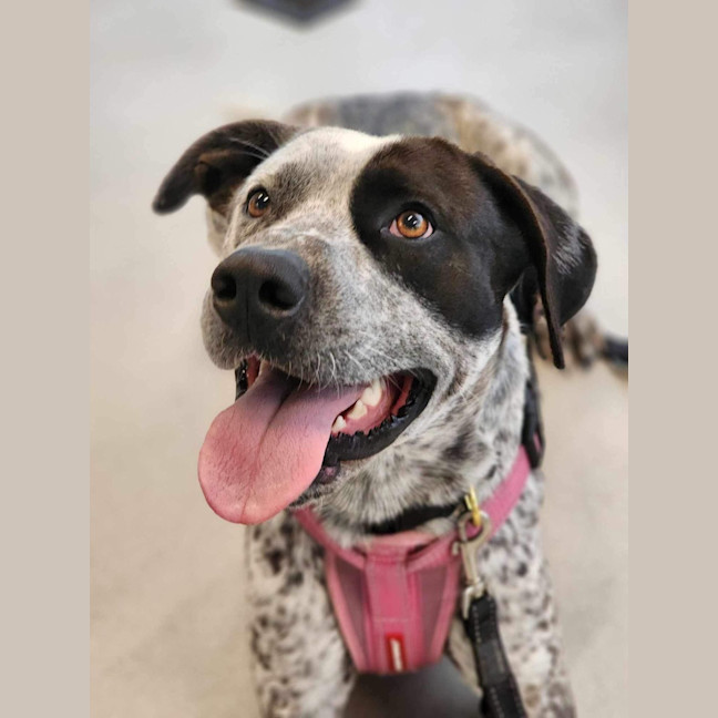 Photo of 🥑 Kevin 5463 🥑