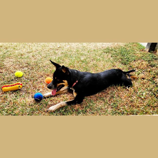 Photo of Astral