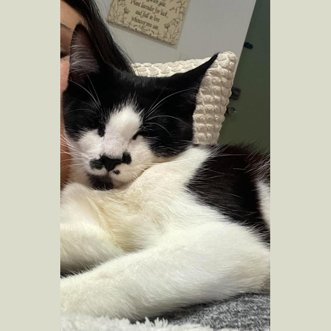 Photo of Milly