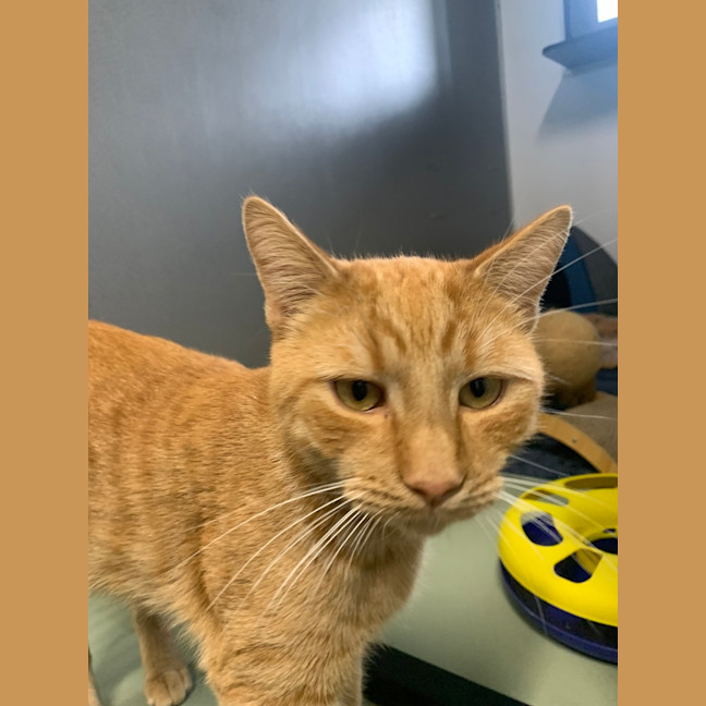 Photo of Fergus