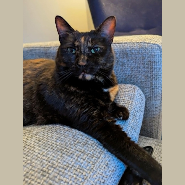 Photo of Freya