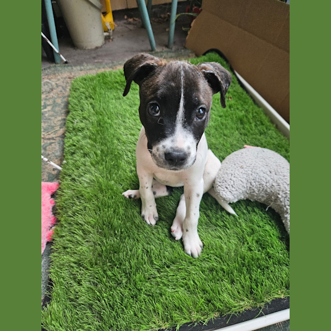 Photo of Dorothy Anne