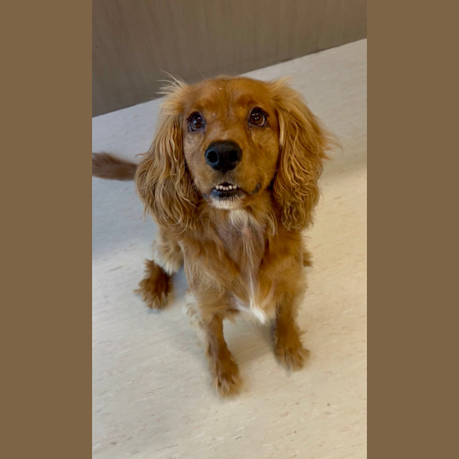Photo of Tucker