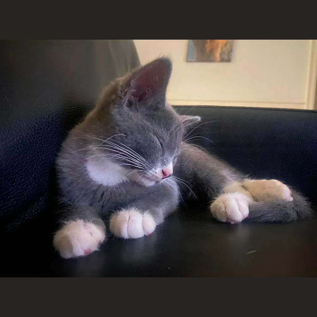 Photo of Noelle