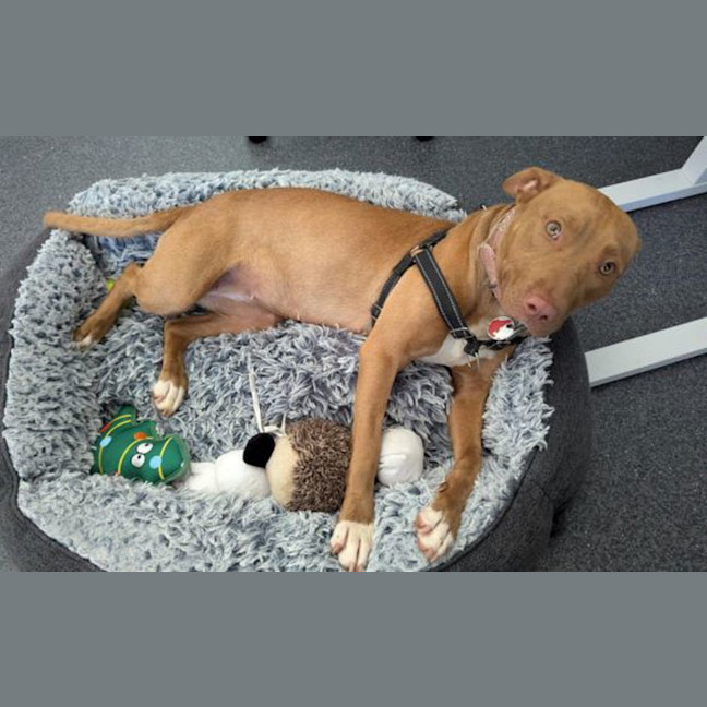 Photo of Sandie