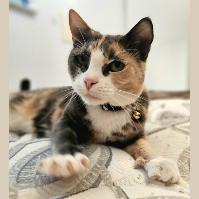 Photo of Kiki
