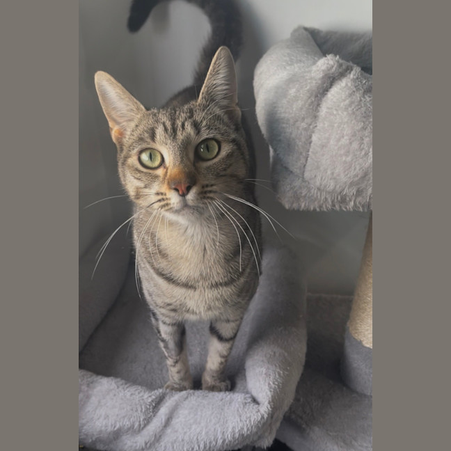 Photo of Margo