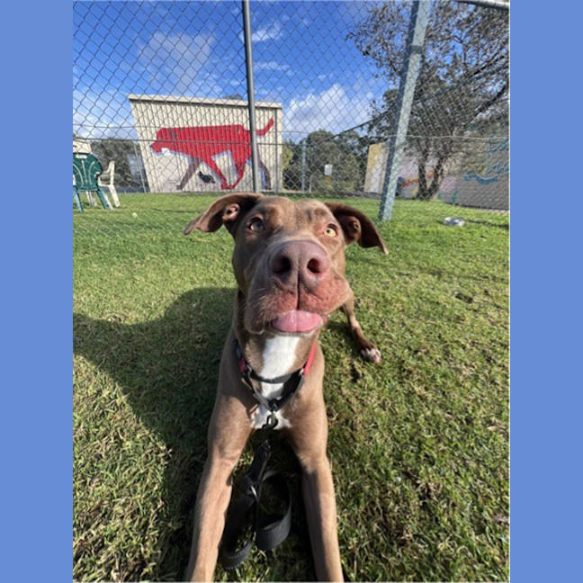Photo of Zoe