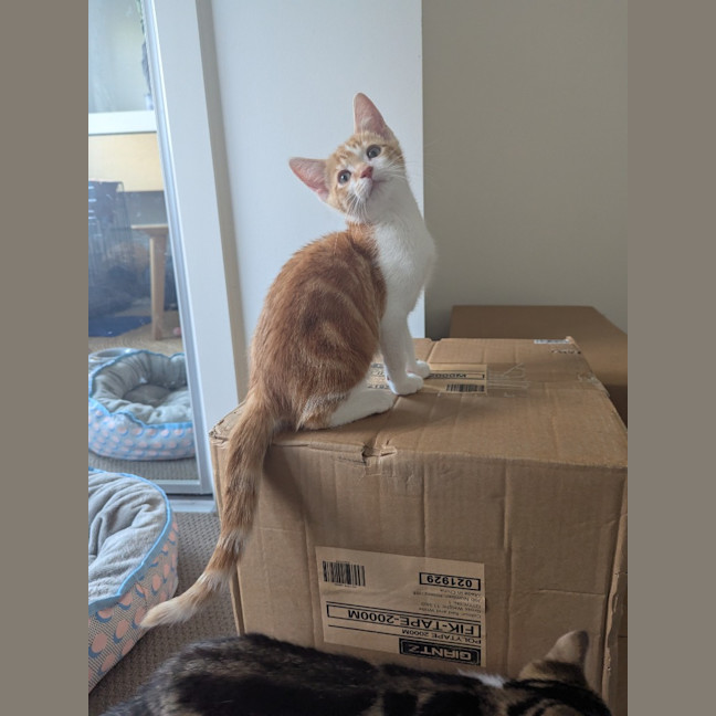 Photo of Stanley Golden