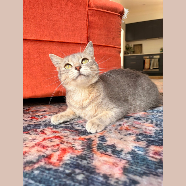 Photo of Patty