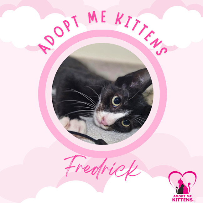 Photo of Fredrick