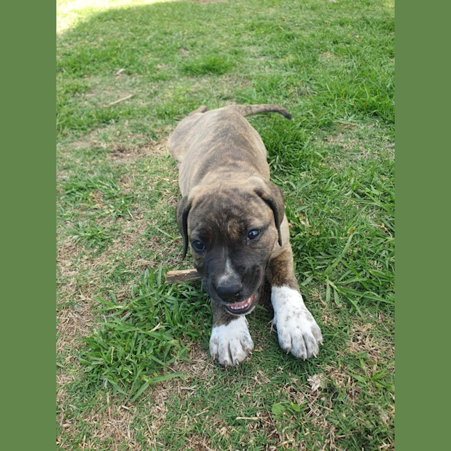 Photo of Diamond