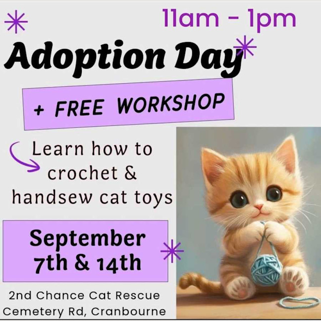 Photo of Saffron **2nd Chance Cat Rescue**