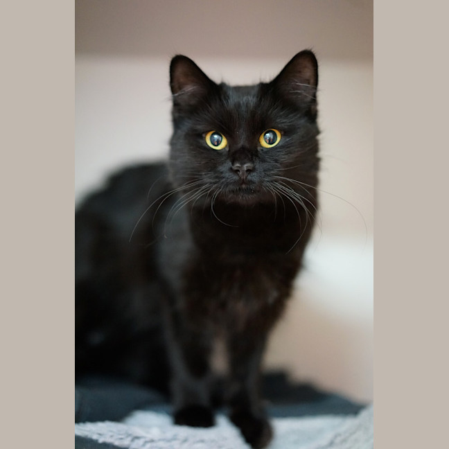 Photo of Lilith
