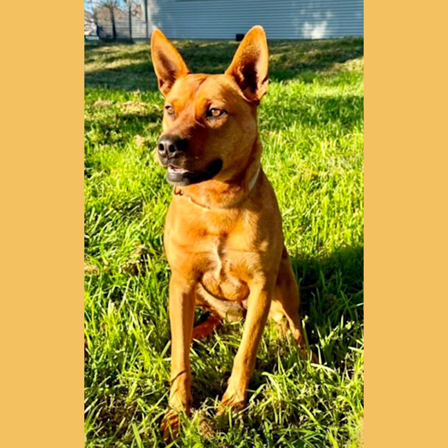 Photo of Twix 
