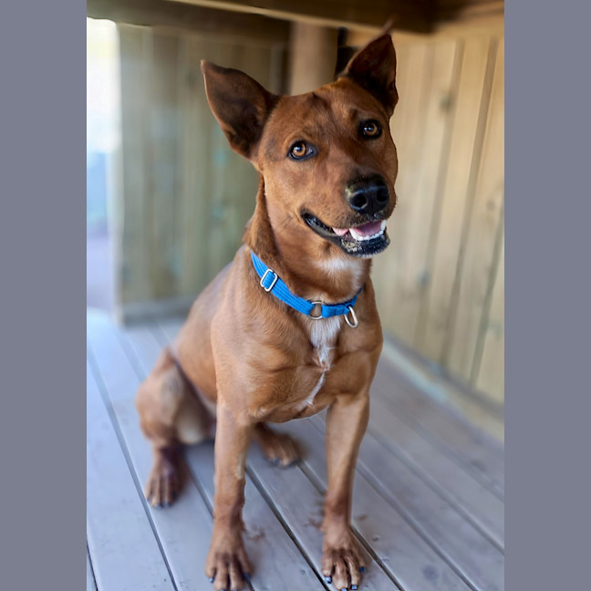 Photo of Denzil