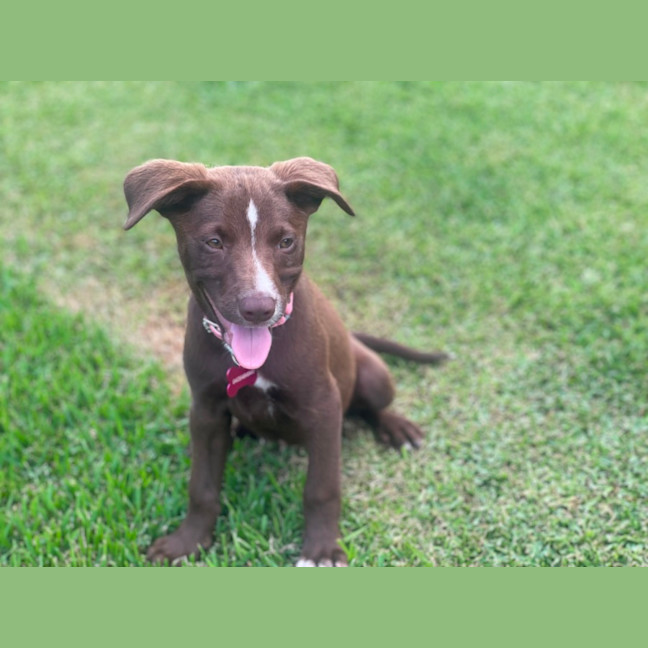 Photo of Delta