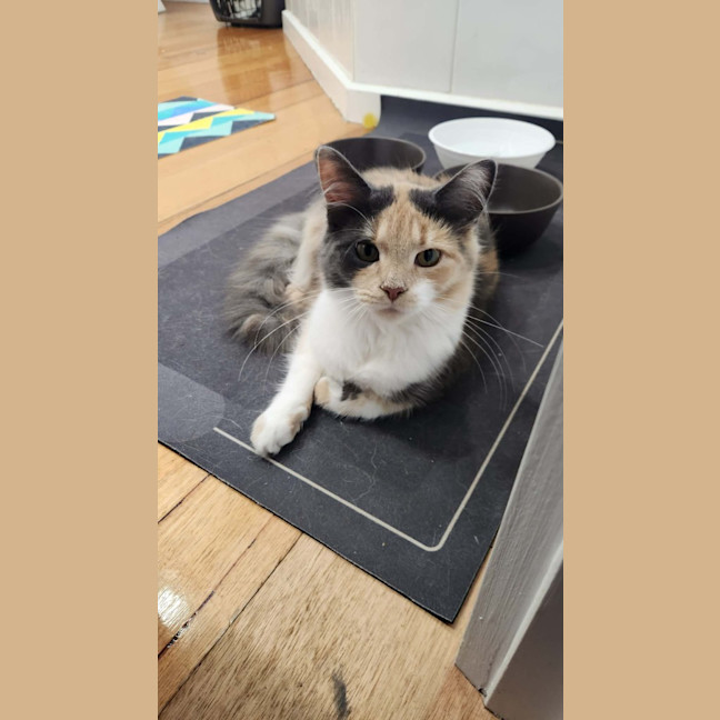 Photo of Scarlet