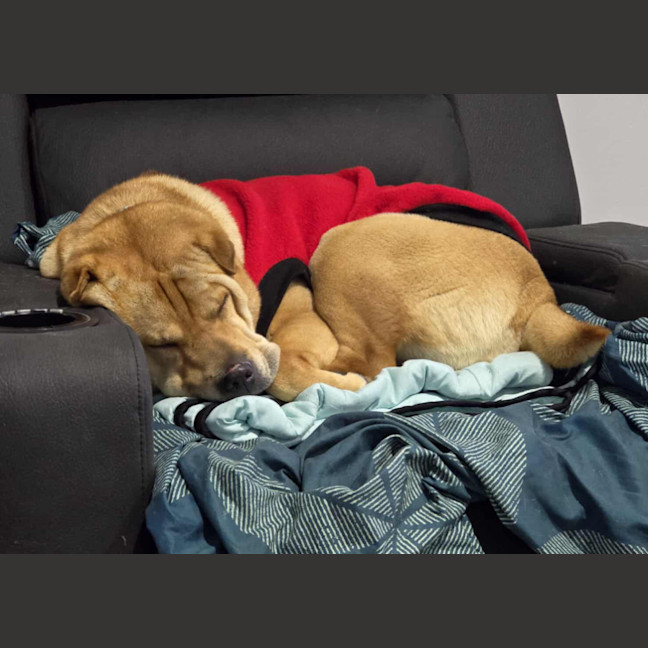 Photo of Molly & Sid