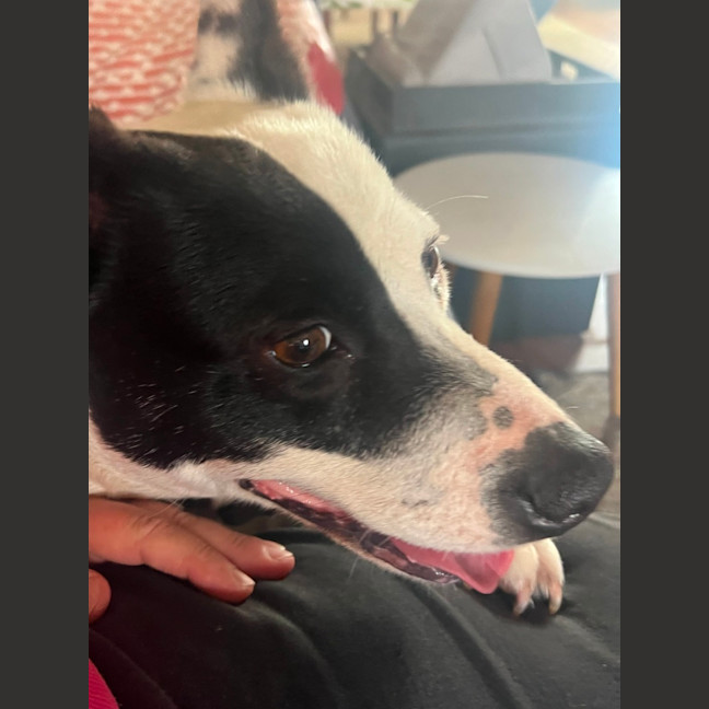 Photo of Heidi