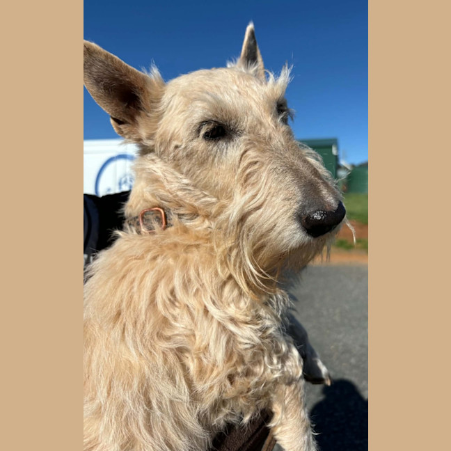 Photo of Zeira