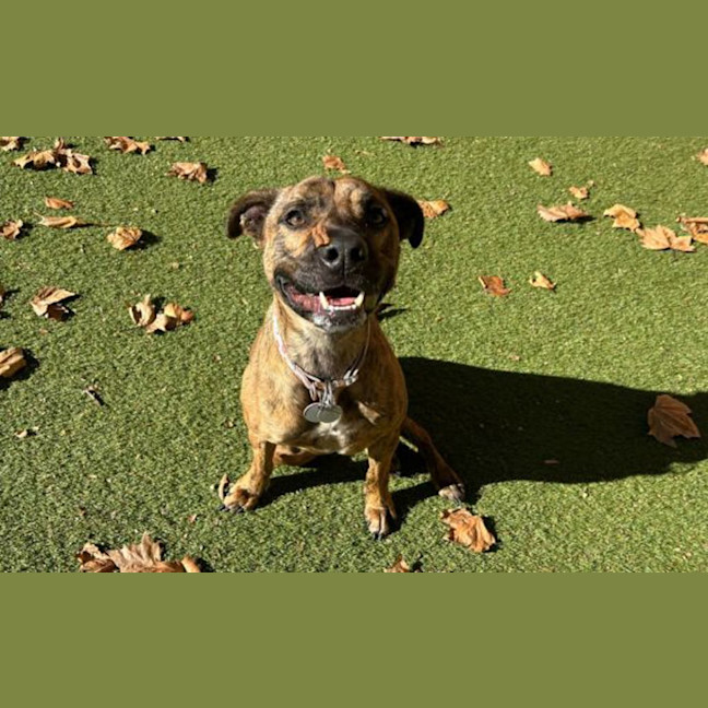 Photo of Jazz