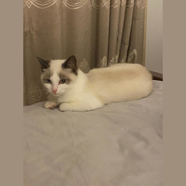 Photo of Zuko & Azula