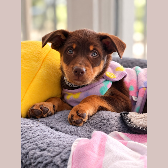 Photo of Molly