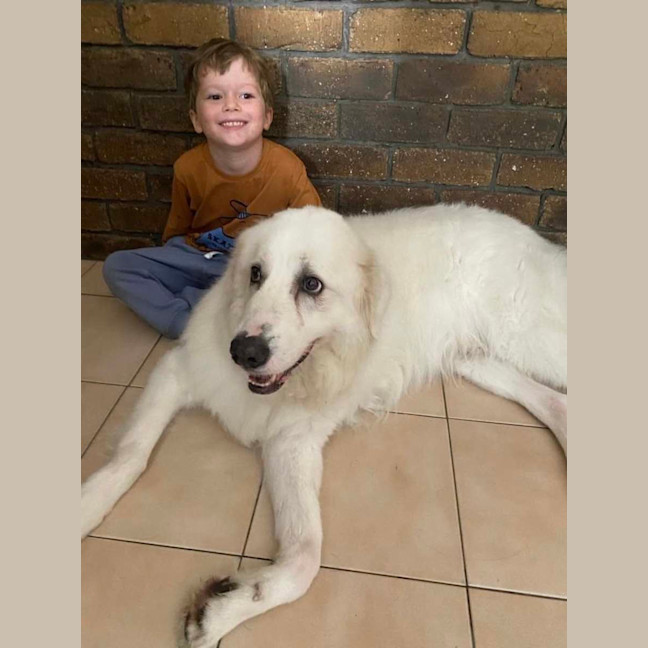 Photo of Eddie *$150 Adoption Fee*