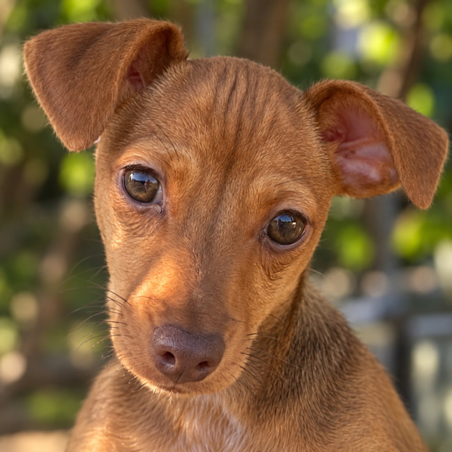 Photo of Edie