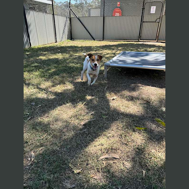 Photo of Mr Wiggles