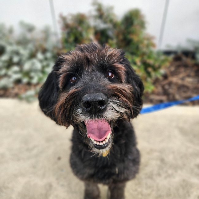 Photo of Maggie
