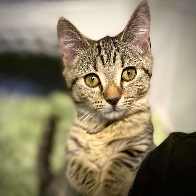 Photo of Leo