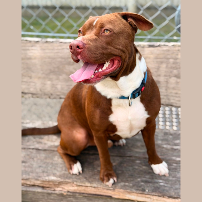 Photo of Zeus