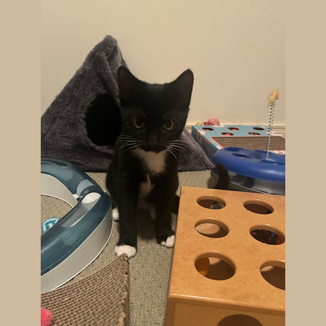 Photo of Rocket