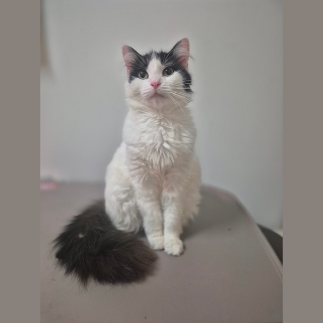 Photo of Daphne 