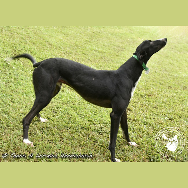Photo of Jake (Forner's Reign)