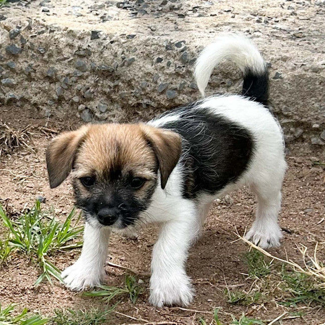 Photo of Emi May