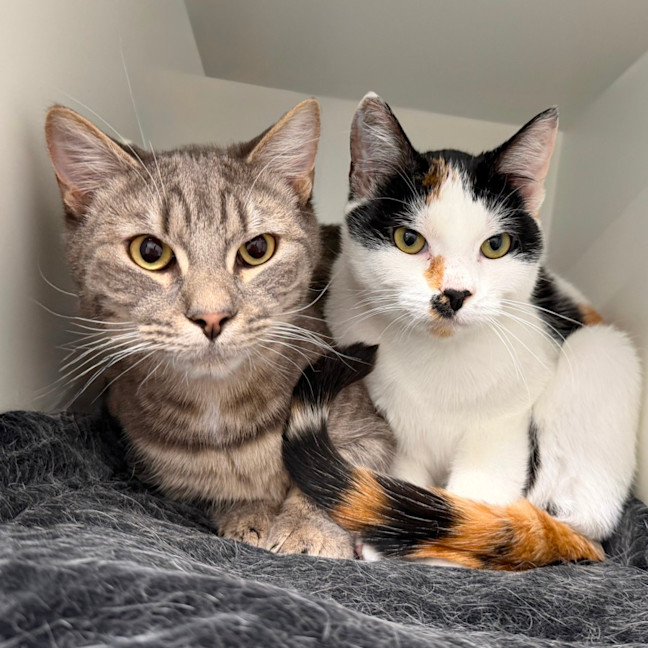 Photo of Remi & Reggi