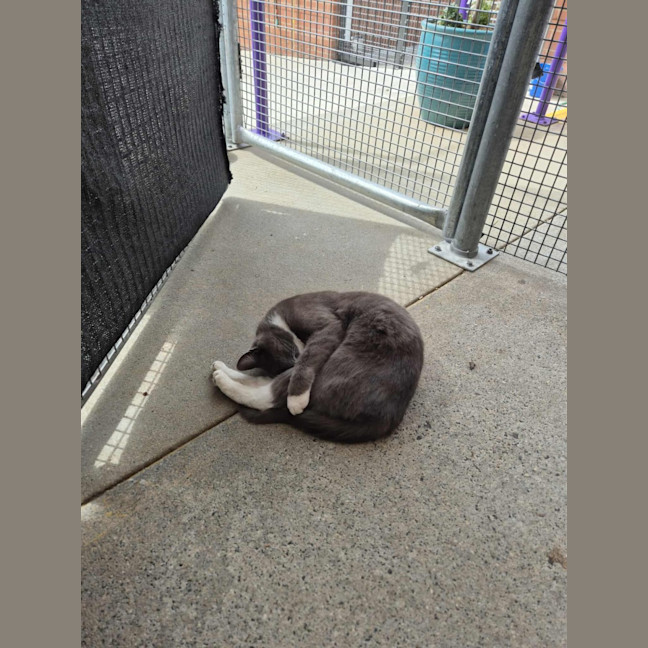 Photo of Mary! 🕊️