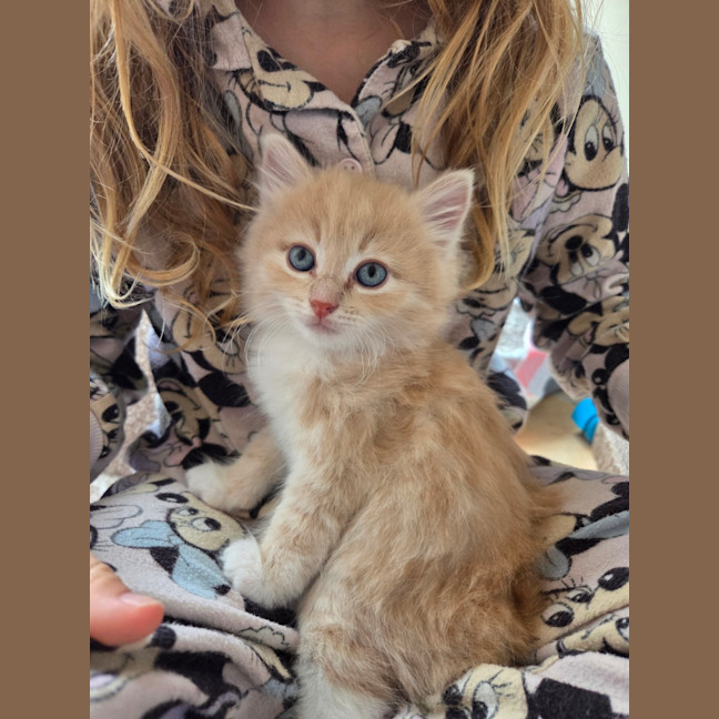 Photo of Theodore
