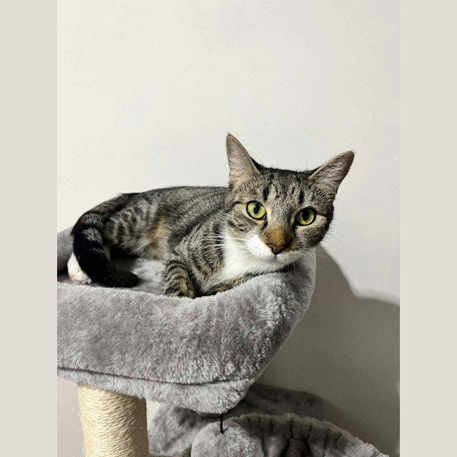 Photo of Meg
