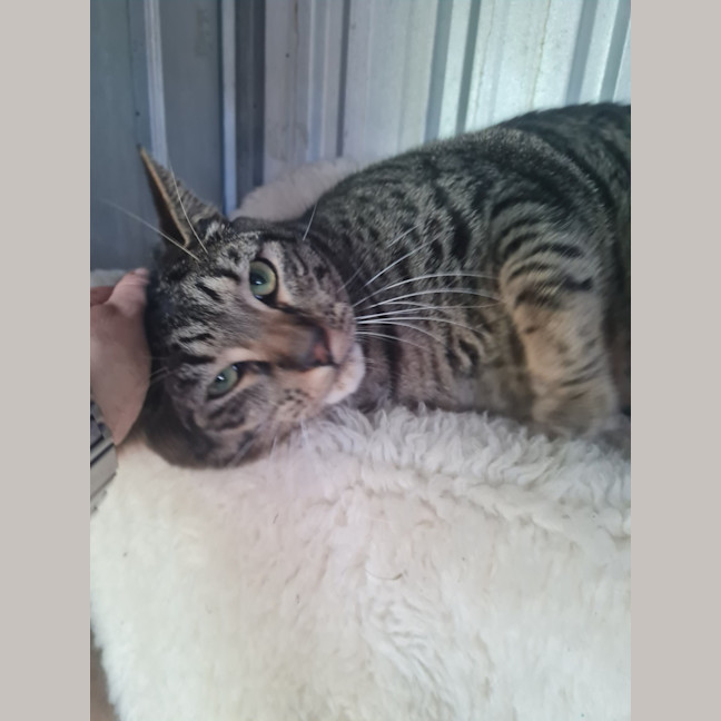 Photo of Edwin James Aka Teddy