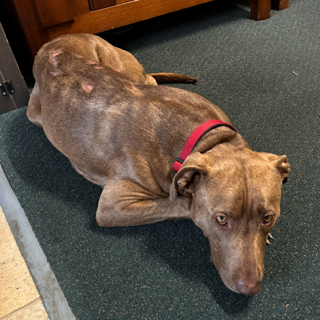 Photo of Ralph