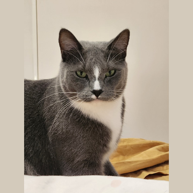 Photo of Still Water 