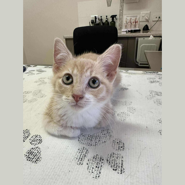 Photo of Nigel