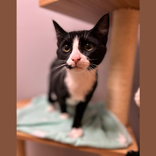 Photo of Charlie