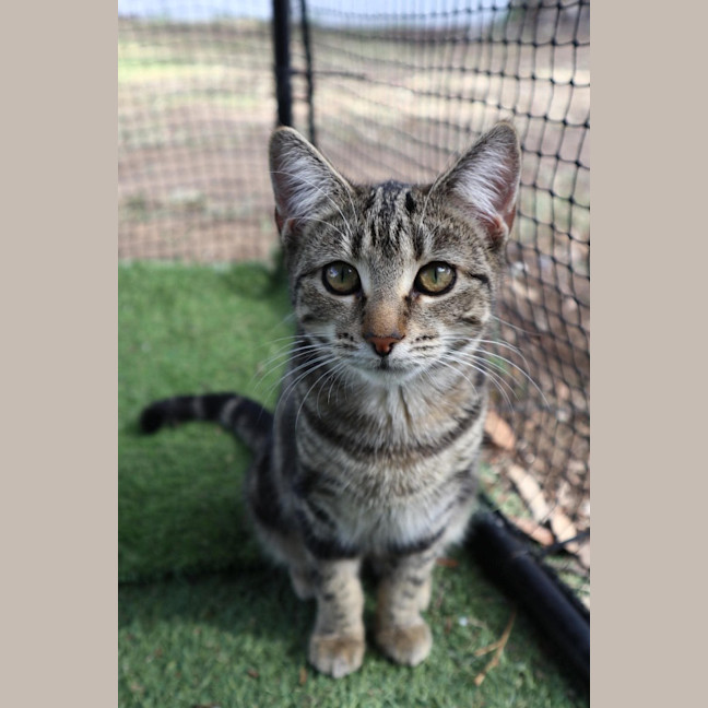 Photo of Princess